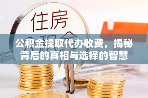 泾河公积金提取代办收费，揭秘背后的真相与选择的智慧