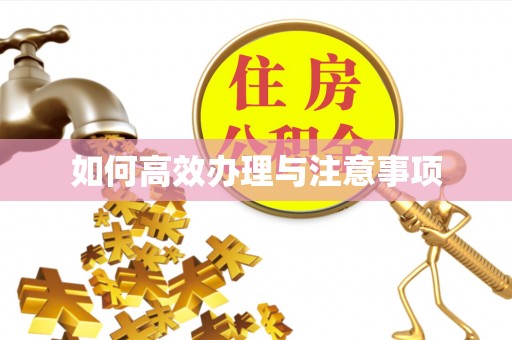 泾河如何高效办理与注意事项