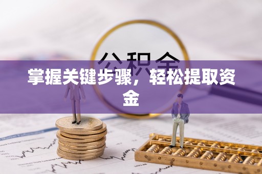 泾河掌握关键步骤，轻松提取资金