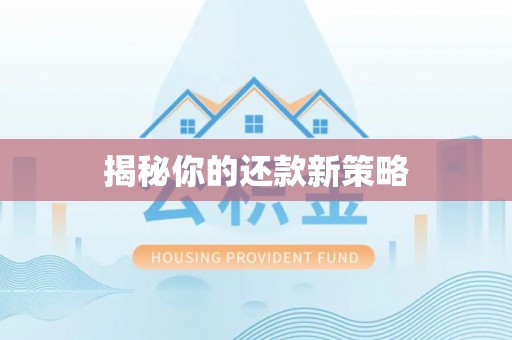 泾河揭秘你的还款新策略