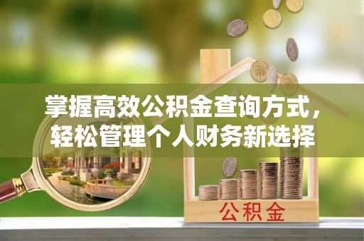 泾河掌握高效公积金查询方式，轻松管理个人财务新选择