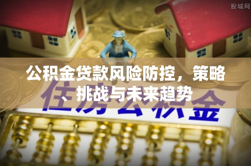 泾河公积金贷款风险防控，策略、挑战与未来趋势