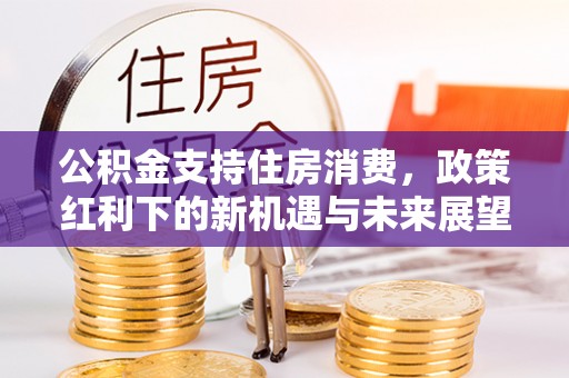 泾河公积金支持住房消费，政策红利下的新机遇与未来展望
