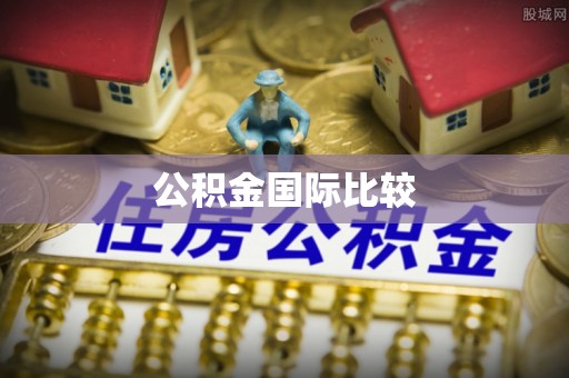 泾河公积金国际比较