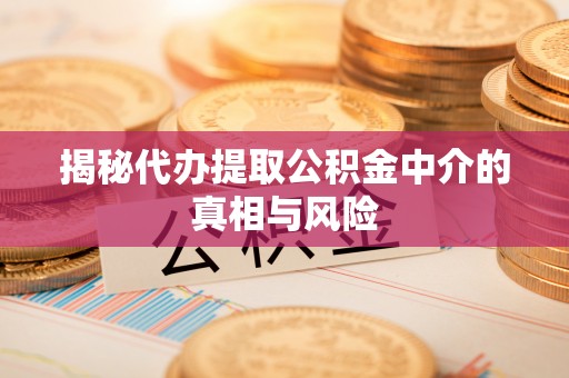 泾河揭秘代办提取公积金中介的真相与风险