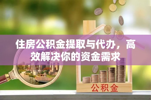 泾河住房公积金提取与代办，高效解决你的资金需求