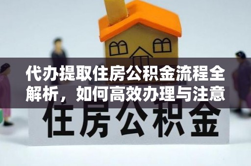 泾河代办提取住房公积金流程全解析，如何高效办理与注意事项