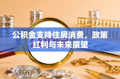 泾河公积金支持住房消费，政策红利与未来展望