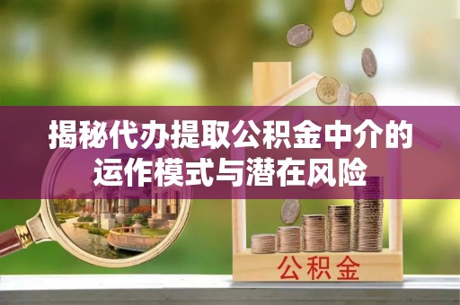 泾河揭秘代办提取公积金中介的运作模式与潜在风险