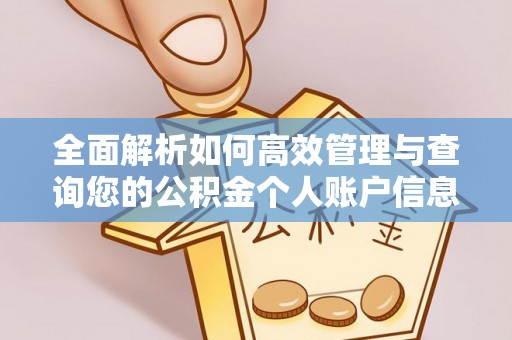 泾河全面解析如何高效管理与查询您的公积金个人账户信息