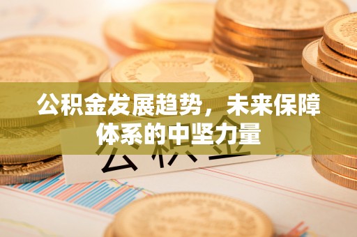 泾河公积金发展趋势，未来保障体系的中坚力量