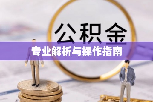 泾河专业解析与操作指南