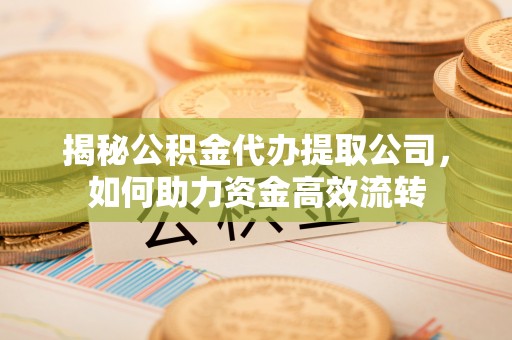 泾河揭秘公积金代办提取公司，如何助力资金高效流转