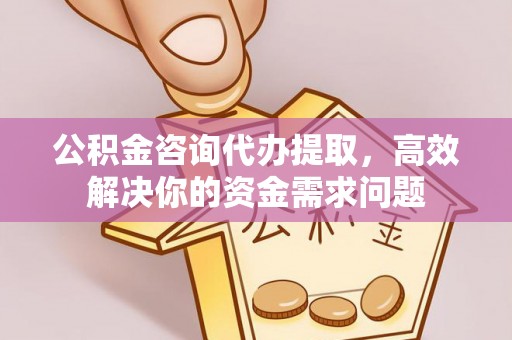 泾河公积金咨询代办提取，高效解决你的资金需求问题