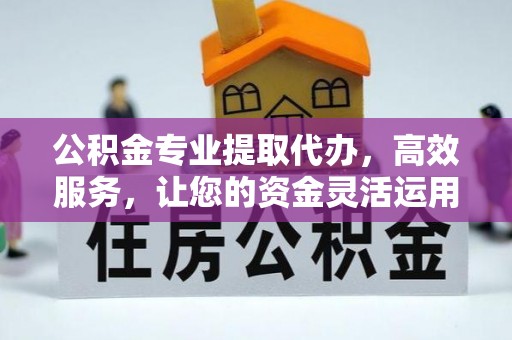 泾河公积金专业提取代办，高效服务，让您的资金灵活运用