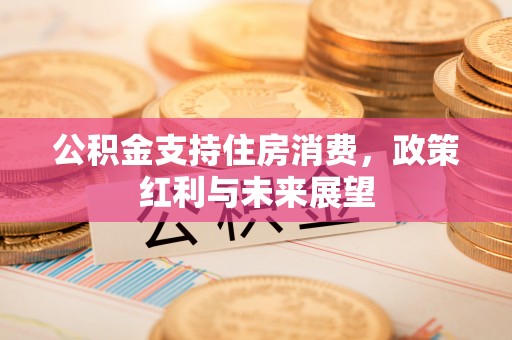泾河公积金支持住房消费，政策红利与未来展望