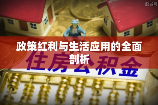 泾河政策红利与生活应用的全面剖析