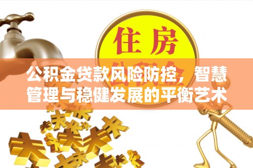 泾河公积金贷款风险防控，智慧管理与稳健发展的平衡艺术