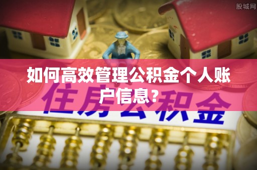 泾河如何高效管理公积金个人账户信息？