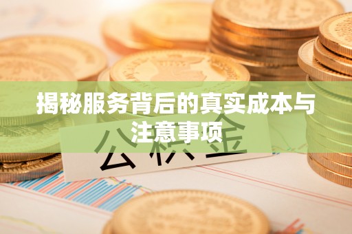 泾河揭秘服务背后的真实成本与注意事项
