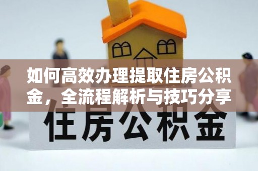 泾河如何高效办理提取住房公积金，全流程解析与技巧分享