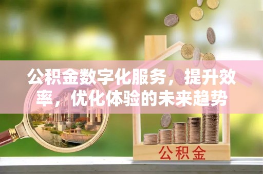 泾河公积金数字化服务，提升效率，优化体验的未来趋势