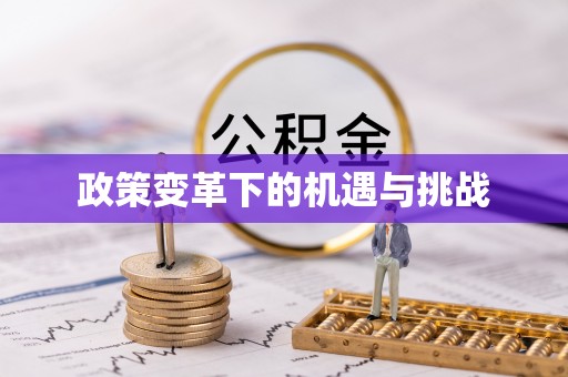 泾河政策变革下的机遇与挑战