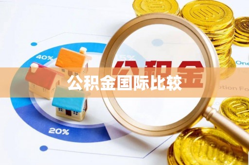 泾河公积金国际比较