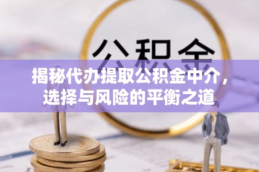 泾河揭秘代办提取公积金中介，选择与风险的平衡之道