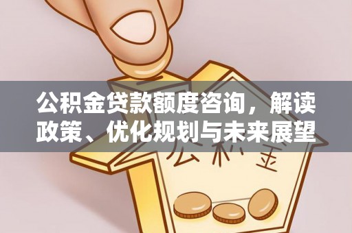 泾河公积金贷款额度咨询，解读政策、优化规划与未来展望