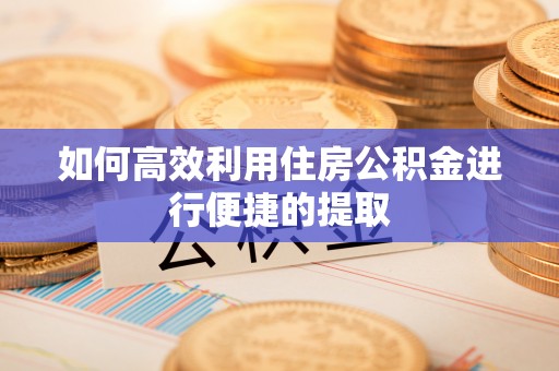 泾河如何高效利用住房公积金进行便捷的提取