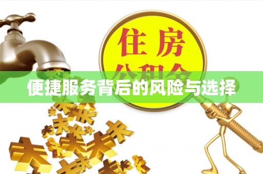泾河便捷服务背后的风险与选择